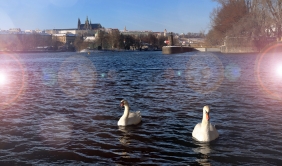 INTERESTING PLACES IN PRAGUE